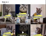 快手MT搬运秘籍曝光！无需剪辑，一键复制爆款剧情，轻松实现同步同框播放！