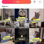 快手MT搬运秘籍曝光！无需剪辑，一键复制爆款剧情，轻松实现同步同框播放！