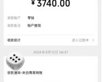 手机兼职赚钱项目，矩阵式操作助新手月入过万，轻松实现财富增长！