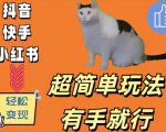 揭秘猫咪视频日入500+的超级简单玩法，手残党也能轻松上手！