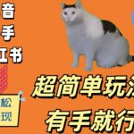 揭秘猫咪视频日入500+的超级简单玩法，手残党也能轻松上手！