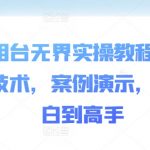 万相台无界实操秘籍：独家全新技术解析，手把手案例教学，小白逆袭成高手必看！