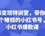 小红书赚钱攻略：0基础快速打造盈利账号，24节爆款课程揭秘小红书变现秘诀！