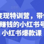 小红书赚钱攻略：0基础快速打造盈利账号，24节爆款课程揭秘小红书变现秘诀！