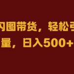 抖音闪图带货秘诀曝光，轻松实现流量狂欢，日赚斗金不是梦【揭秘】