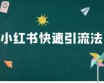 小红书高效引流秘籍曝光！电商运营必看教程，轻松引爆流量！