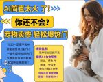 AI宠物卖惨打工项目火爆小红书，一键生成轻松引爆热门，温柔多金小姐姐纷纷心动，私域转化率惊人！