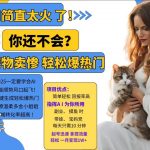 AI宠物卖惨打工项目火爆小红书，一键生成轻松引爆热门，温柔多金小姐姐纷纷心动，私域转化率惊人！