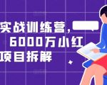 小红书爆款训练营：0基础到高手，揭秘6000万级项目背后的运营秘籍！