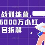 小红书爆款训练营：0基础到高手，揭秘6000万级项目背后的运营秘籍！