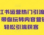 小红书爆款引流秘籍！学会内容营销，轻松实现粉丝暴涨，客户源源不断！