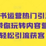 小红书爆款引流秘籍！学会内容营销，轻松实现粉丝暴涨，客户源源不断！
