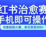 揭秘：小红书治愈视频新赛道，手机操作轻松上手，流量爆表，日入300+不是梦！