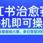 揭秘：小红书治愈视频新赛道，手机操作轻松上手，流量爆表，日入300+不是梦！