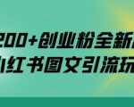 揭秘：独家小红书图文引流策略，日增200+精准创业粉丝，高效转化新思路！