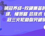 销冠速成秘籍：掌握软硬兼施的销售绝技，策略布局+技术精通，三重火力助你突破销售极限！