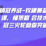 销冠速成秘籍：掌握软硬兼施的销售绝技，策略布局+技术精通，三重火力助你突破销售极限！