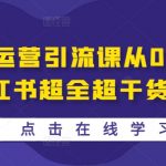 小红书运营引流秘籍：从新手到高手，掌握独家超全干货，轻松引爆流量！