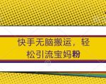 快手搬运秘籍大公开：小白也能轻松吸粉宝妈群体，揭秘流量暴增技巧！