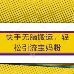 快手搬运秘籍大公开：小白也能轻松吸粉宝妈群体，揭秘流量暴增技巧！