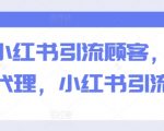揭秘小红书引流秘诀：快速吸引顾客+精准招募代理，打造爆款引流专辑！