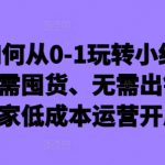 新手小白必看：0基础快速上手小红书店铺，零囤货、免出镜，揭秘在家也能月入过万的低成本运营秘籍！