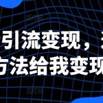 创业必备：独家揭秘三种高效引流技巧，轻松变现超3万！