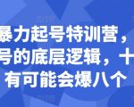 揭秘小红书快速崛起秘籍！特训营深度解析，轻松掌握爆文技巧，让你的帖子八成几率火爆全网！