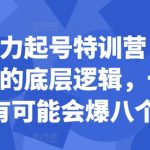 揭秘小红书快速崛起秘籍！特训营深度解析，轻松掌握爆文技巧，让你的帖子八成几率火爆全网！