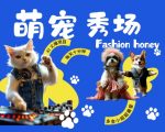 揭秘：酷炫动物舞步秀场，潮流喵星人与FASHION汪星人，多金小姐姐追捧的月入过万秘籍！