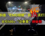抖音EMO视频独家攻略，轻松日吸1000+泛垂直领域创业粉丝！