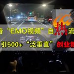 抖音EMO视频独家攻略，轻松日吸1000+泛垂直领域创业粉丝！