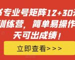 揭秘小红书矩阵玩法：12+30天引流陪跑训练营，轻松上手，15天见证流量飙升奇迹！