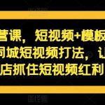 短视频运营终极教程：同城矩阵+直播带货，利用独家模板，让你的实体店短视频营销翻倍盈利！
