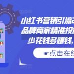 小红书营销攻略：24招必杀技助品牌商家精准引流，低成本高效盈利，揭秘避坑之道！