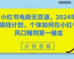 2024年小红书无货源电商暴利攻略，揭秘个体如何轻松月入过万，抢占风口赚第一桶金！