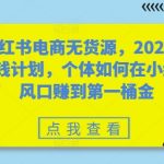 2024年小红书无货源电商暴利攻略，揭秘个体如何轻松月入过万，抢占风口赚第一桶金！