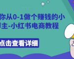 9节课速成攻略：从新手小白到盈利小红书博主，揭秘电商赚钱秘诀！