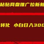 网盘推广拉新独家技巧曝光，新手也能日赚300+，揭秘高效转化秘诀！
