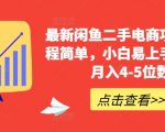 闲鱼二手电商项目揭秘：轻松操作流程，新手快速上手，月赚4-5位数不是梦！