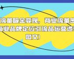 2024年流量变现攻略：揭秘商业流量密码，营销品牌定位与引流产品运营逻辑全解析（附图文详解）