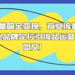 2024年流量变现攻略：揭秘商业流量密码，营销品牌定位与引流产品运营逻辑全解析（附图文详解）