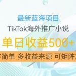 揭秘：独家最新蓝海项目，利用TIKTOK海外推广小说，轻松赚取高额佣金，日入500+，快速复制矩阵放大收益！