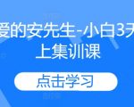 “安先生独门秘籍：小白3天速成线上集训，颠覆你的学习效率！”