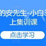 “安先生独门秘籍：小白3天速成线上集训，颠覆你的学习效率！”