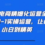 小红书电商运营全攻略：0基础快速上手，小白变大神实操秘籍！