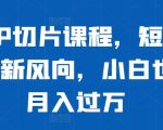 明星IP切片教程曝光！短视频带货狂潮来袭，轻松月入过万不是梦！