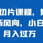 明星IP切片教程曝光！短视频带货狂潮来袭，轻松月入过万不是梦！