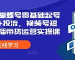 2024年蝴蝶号新手快速起号攻略：全流程投流秘籍，视频号短视频直播带货运营实战教程！