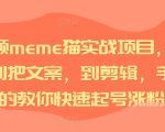 短视频MEME猫爆笑教程，独家揭秘选材到文案撰写，剪辑技巧一站式教学，快速吸粉涨号攻略！